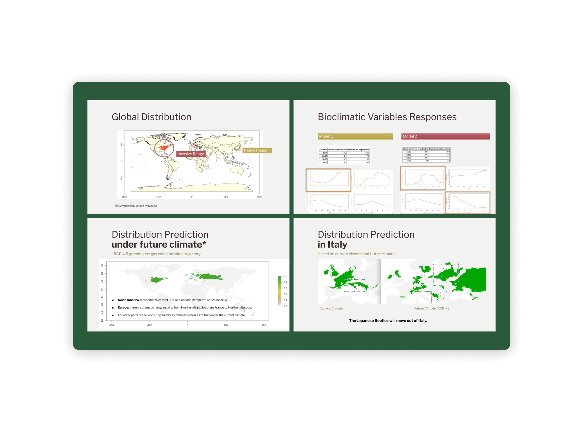 Global Habitat Suitability Modeling for an Invasive Species: Japanese Beetle (Popillia japonica)